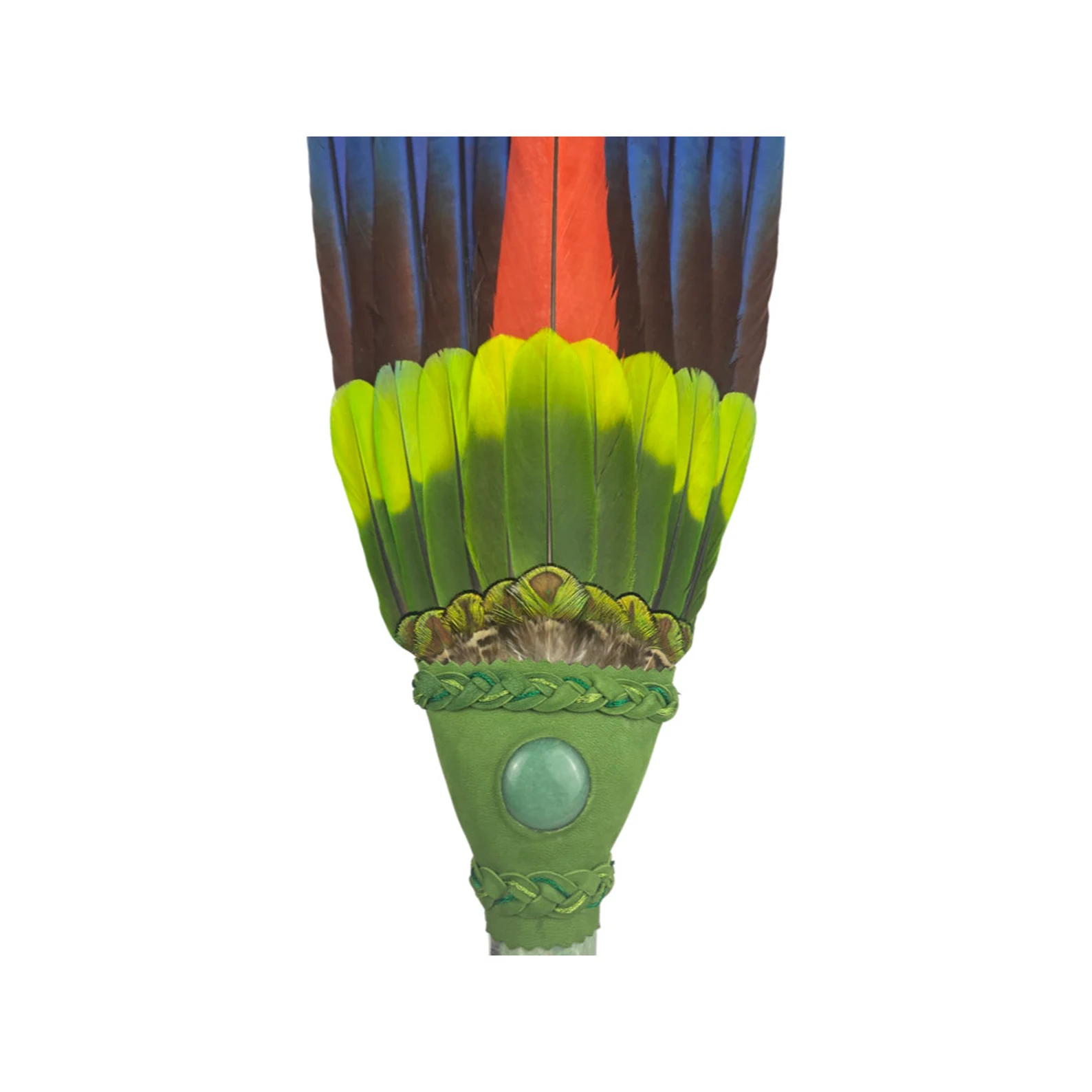 David Gutierrez - "Macaw & Amazon  Parrot Fan"